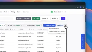 Duplicating a sheet from the sheet tab menu in DataSort